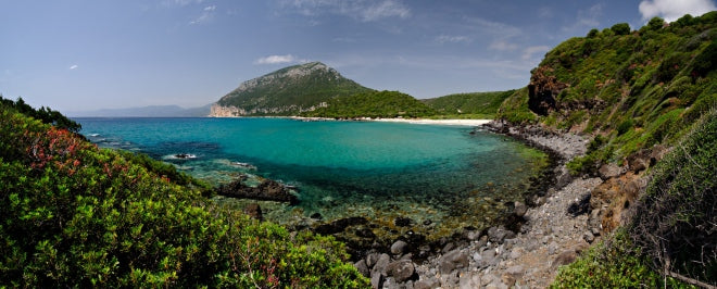Profumo di Sardegna: alla scoperta degli oli essenziali dell'isola