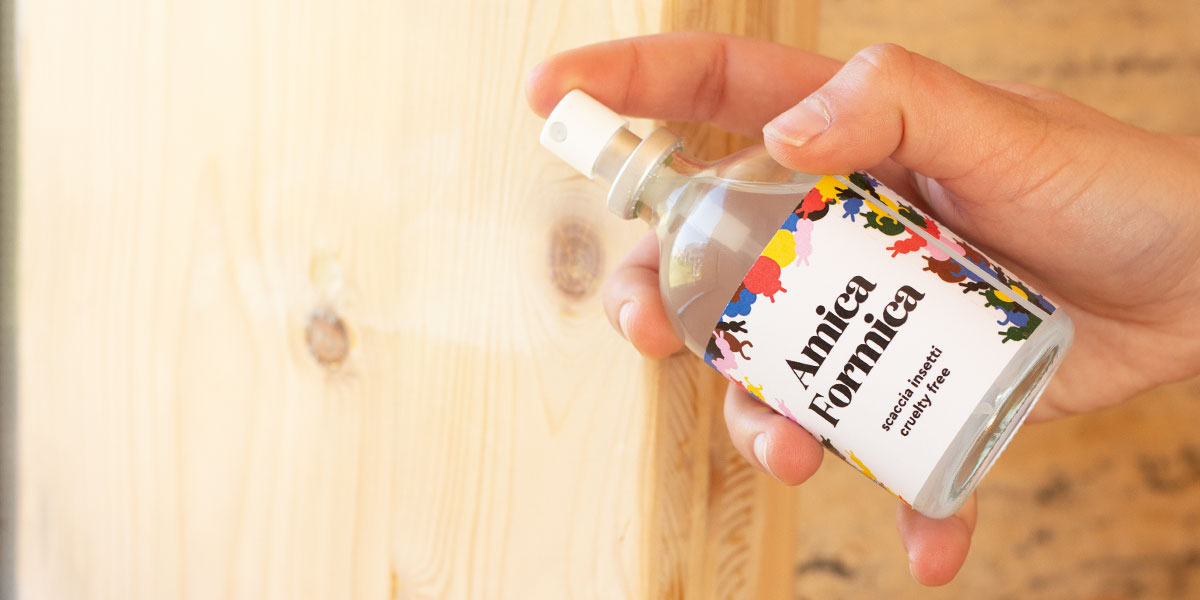 Esiste un repellente naturale per formiche?