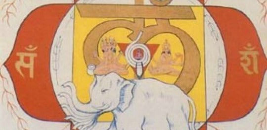Gli oli essenziali per il primo Chakra