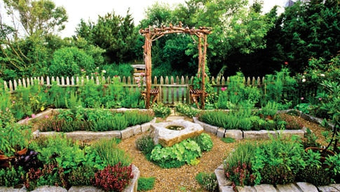 Gli oli essenziali per curare giardini ed orti