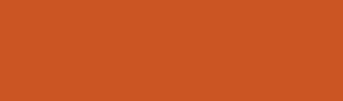 Litsea