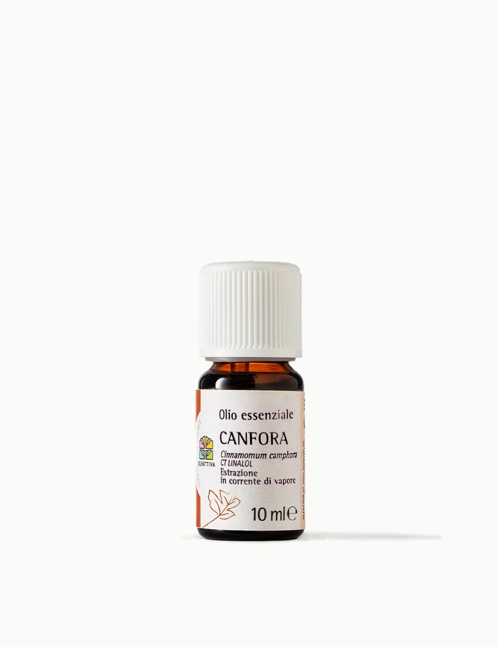 Olio Essenziale di Canfora