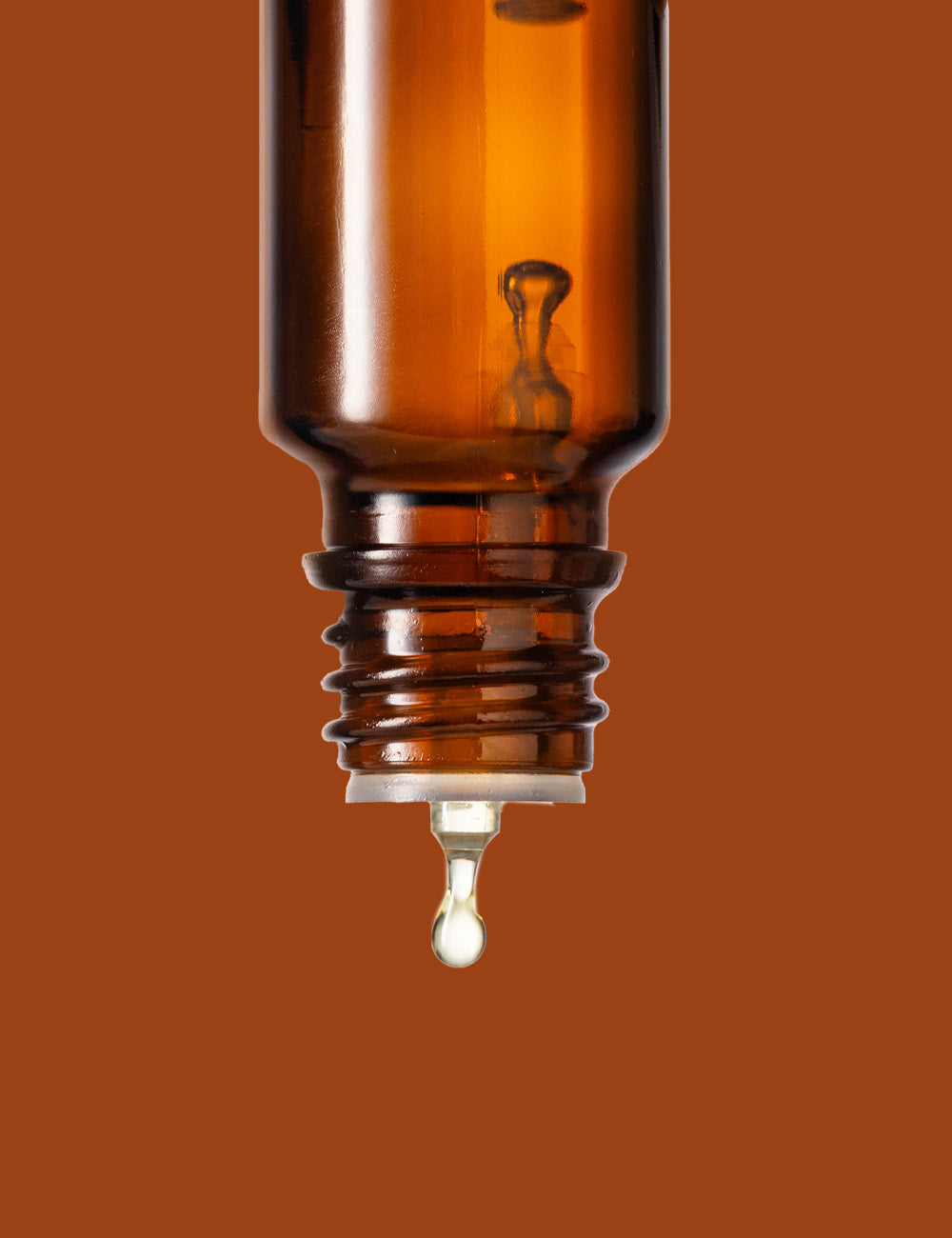 Olio Essenziale di Canfora