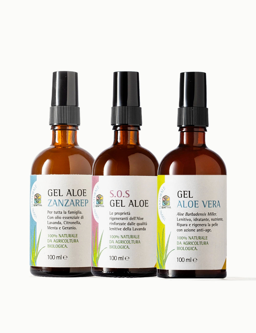 Kit Gel Aloe Vera