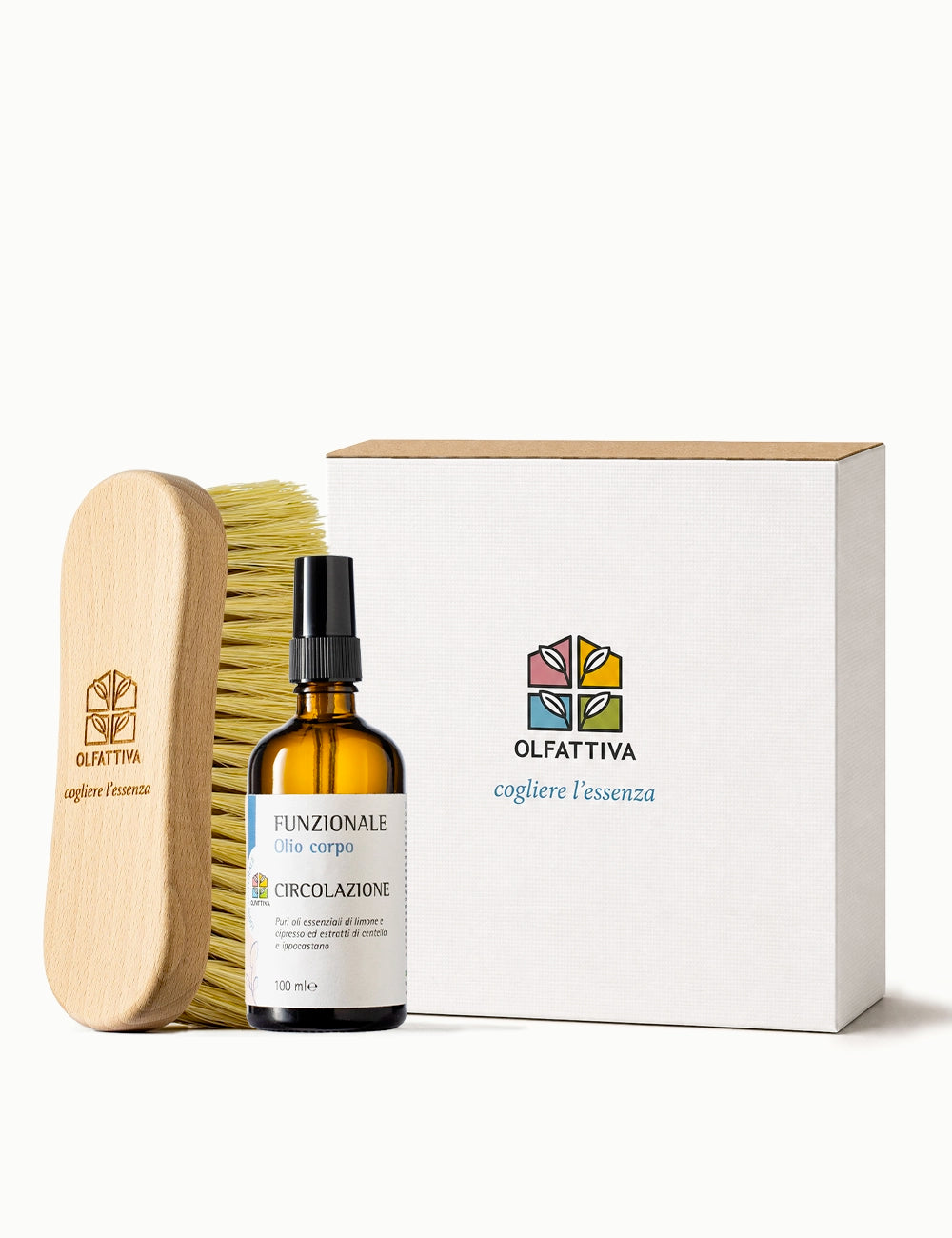 Kit Routine Dry Brushing