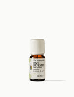 Olio Essenziale di Pino Silvestre